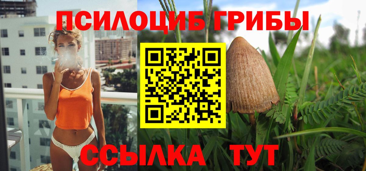 Асбест  магазин продажи наркотиков  Вход с VPN  Псилоцибиновые грибы Psilocybe 